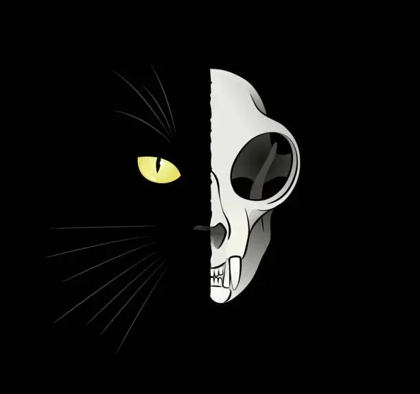 Vector illustration of Quantum Cat - Dead-And-Alive
