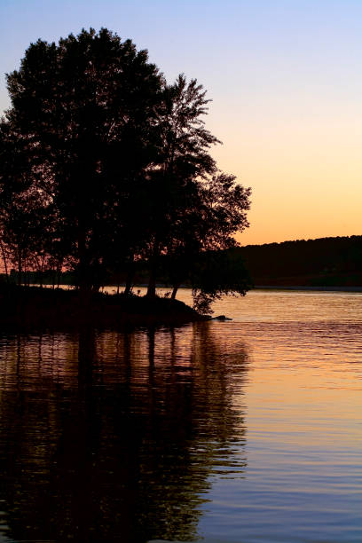istock A tree on the bank of the Volga. 964975974