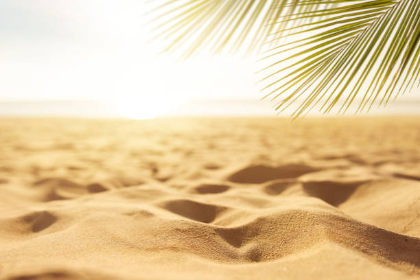 istock Sand with blurred sea sky background, summer day 964976318