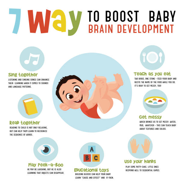 180+ Infant Brain Development Stock Illustrations, Royalty-Free Vector ...