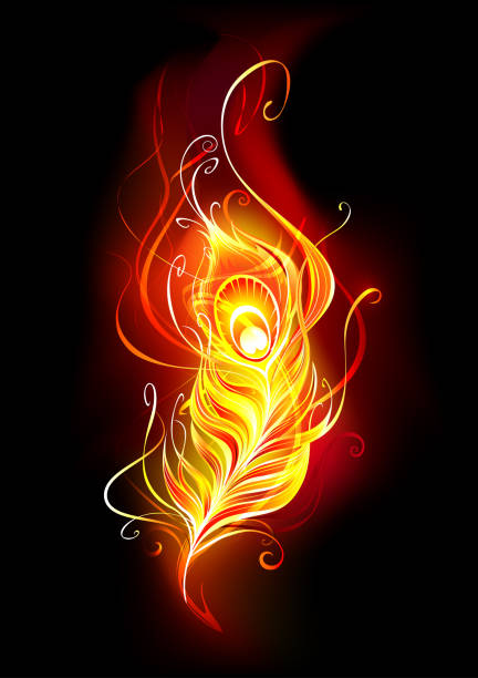 Fire peacock feather Bright peacock feather made of fire and flame on black background. Aflame stock illustrations