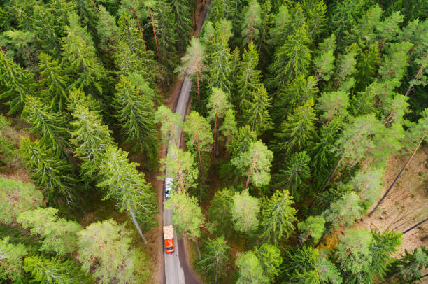 istock Transportation background. Trucks moving through forest on narrow road. 964985718
