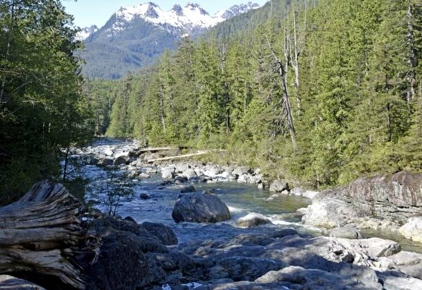 istock Kennedy River, British Columbia 964990132