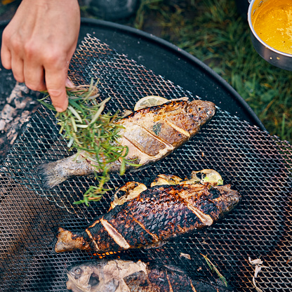 Preparing Fish for Cooking Over Open Campfire