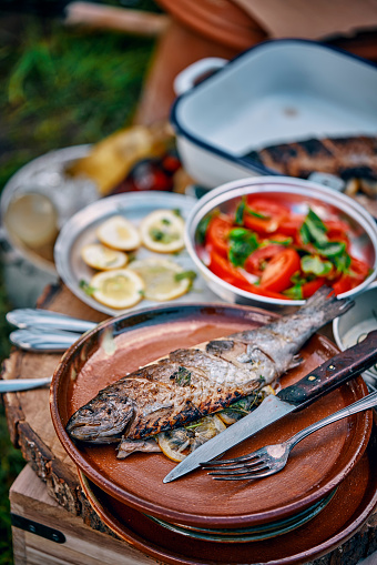 Fresh Grilled Fish with Lemon with Tomato Salad for Having Picnic Outside