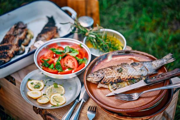 Fresh Grilled Fish with Lemon with Tomato Salad for Having Picnic Outside
