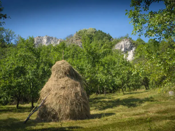 In the foreground a hay house with fruit trees. In the background the rocks of the mountains.
