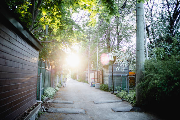road, sunset, no people, alley