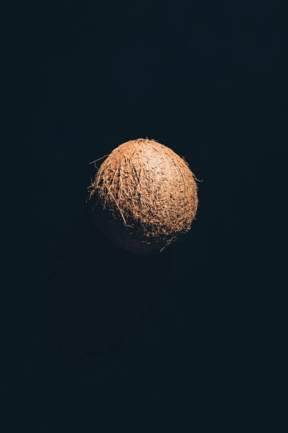 istock close-up view of single whole ripe coconut isolated on black 965018442