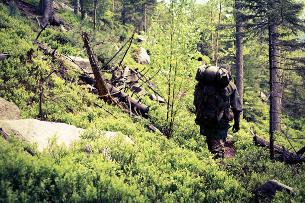 istock Active healthy man hiking in beautiful forest 965020430