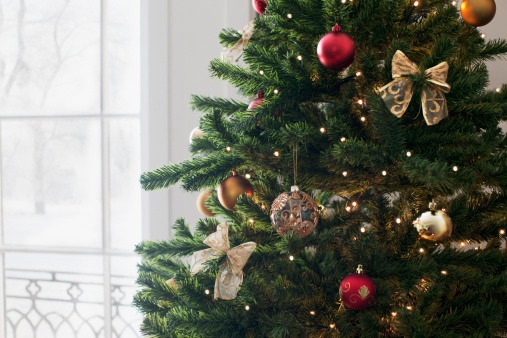 Christmas tree, fireplace, gifts, garlands, Christmas lights.