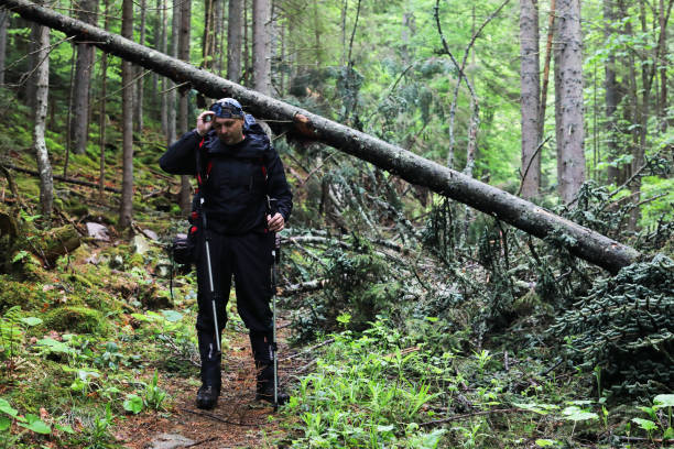 istock Active healthy man hiking in beautiful forest 965027798