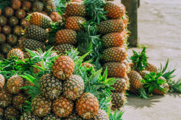 Fresh pineapple for sale