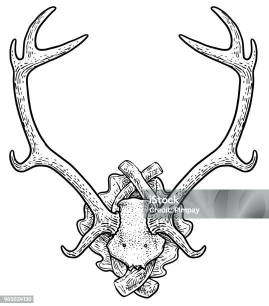 Deer Trophy Illustration Drawing Engraving Ink Line Art Vector Stock Illustration - Download Image Now