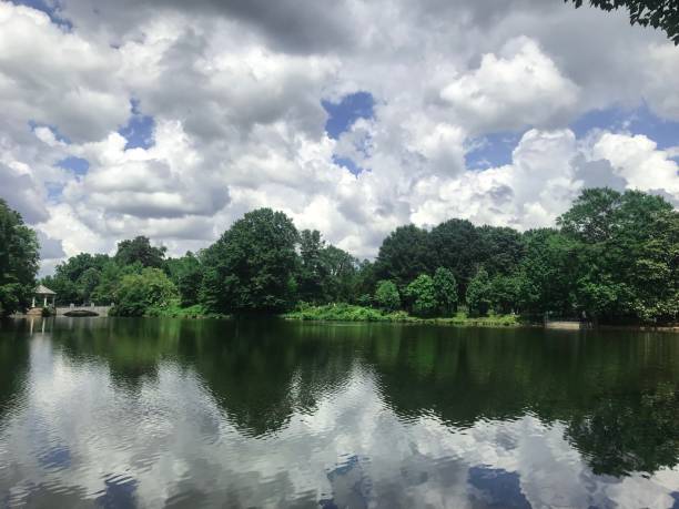 istock Green nature near the lake 965044838