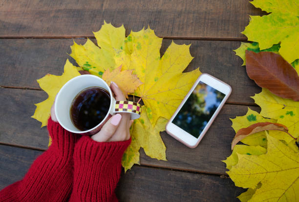 istock cup of hot drink in female hands 965060230