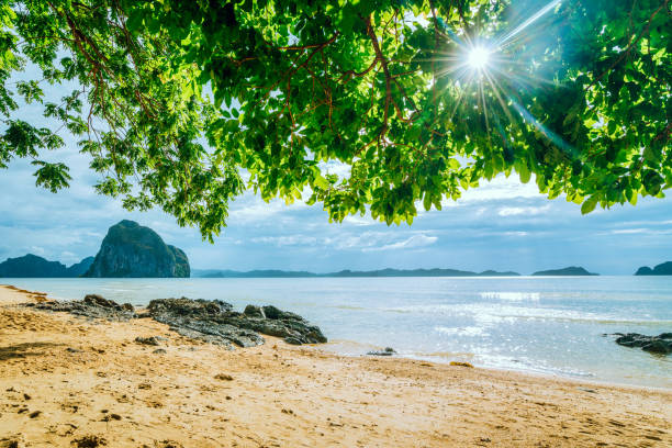 Scenic tropical beach, El Nido Palawan Philippines
