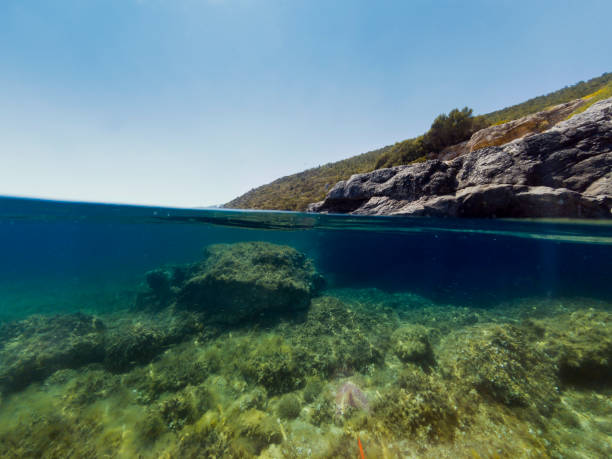 istock Half underwater in the sea. 965066248