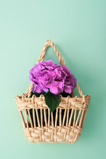 istock Summer Flowers in straw basket on turquoise background with copy space. 965080744