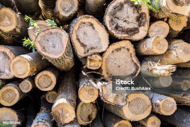 Logs For Logging Stock Photo - Download Image Now - Architecture, Brown, Close-up