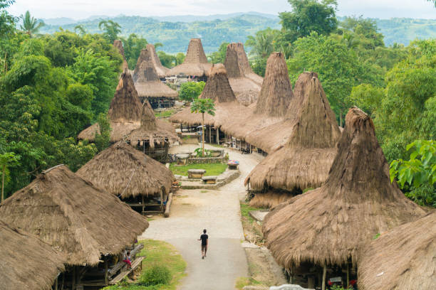 Traditional Hut, Praijing Traditional Village Unique structure of traditional hut at Kampung Adat Praijing, Sumba Indonesia sumba stock pictures, royalty-free photos & images