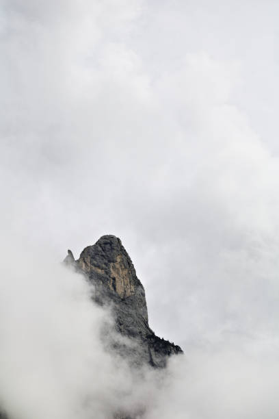 istock foggy clouds rising from dark alpine mountain forest 965104950