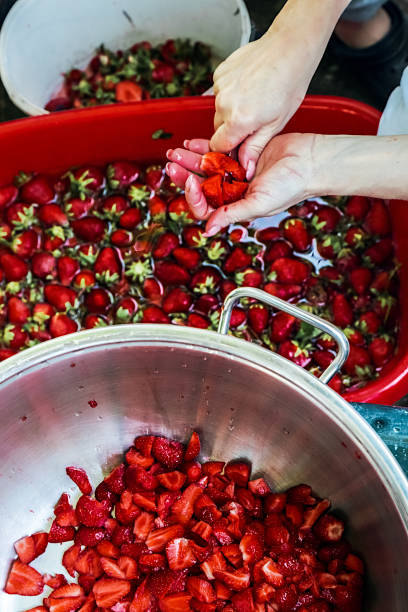 istock Mother and Son preparing strawberries for making jam 965112372