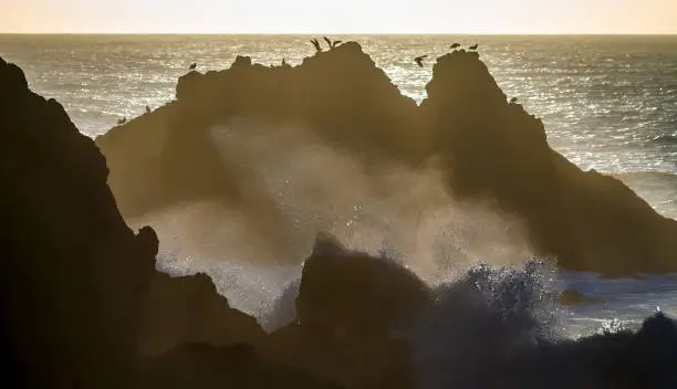 Waves crash on the San Francisco, Pacific coast line