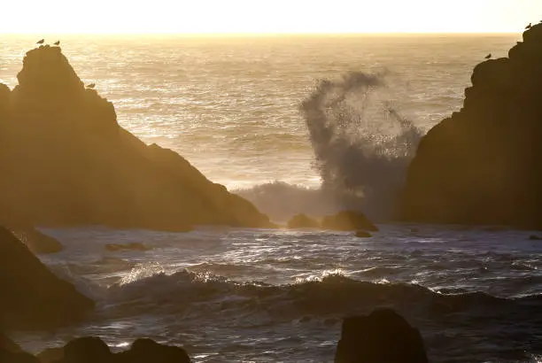 Waves crash on the San Francisco Pacific coast line