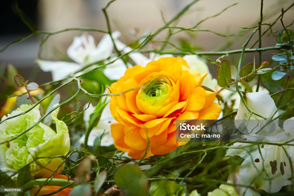 Flower arrangement Arranging Stock Photo