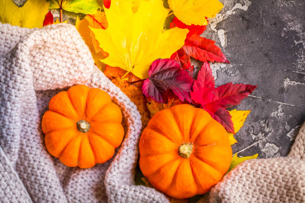 istock Thanksgiving pumpkins with fall leaves 965118016