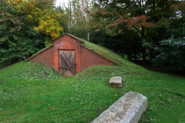 vecchia cantina di mattoni nel terreno. l'erba verde cresce sul tetto. porta di legno sulla serratura del fienile. di fronte all'ingresso ci sono grandi pietre - dugout foto e immagini stock