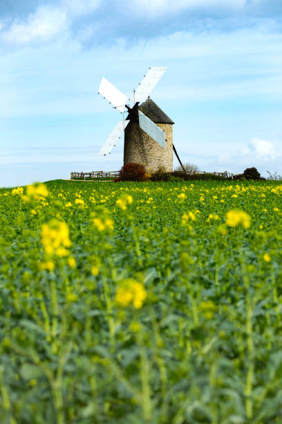 istock old traditional normandian windmill at the field 965139970