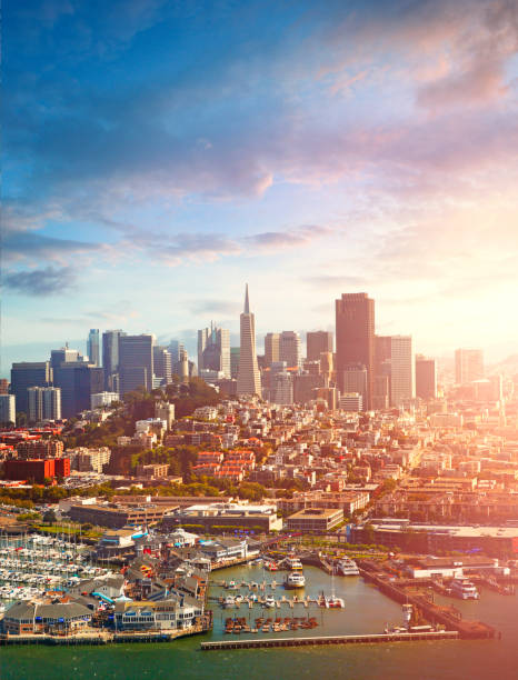 istock Aerial view of San Francisco 965142254