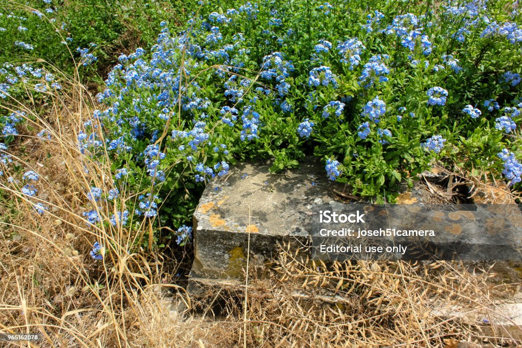 colors of Jerusalem Jerusalem Israel May 28, 2018 View of an old abandoned Arab cemetery in the center of the city of Jerusalem Ancient Stock Photo