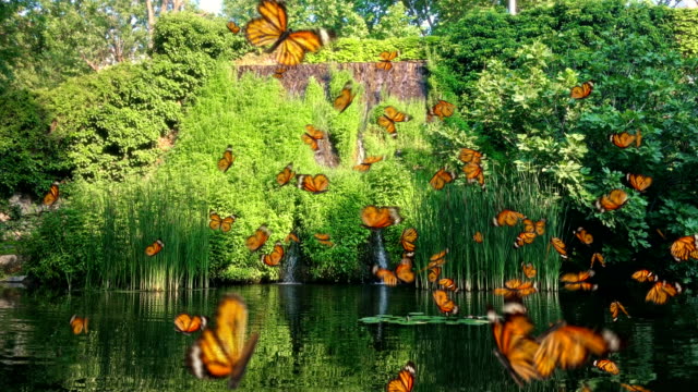 Waterfall with many yellow Butterfly