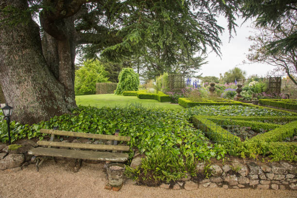 정원 벤치: 라 나 크 성 - formal garden garden path bench flower 뉴스 사진 이미지