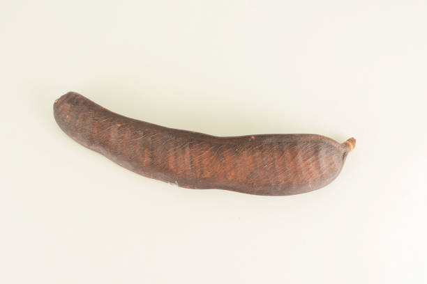 istock Close-up of carob fruit 965236072