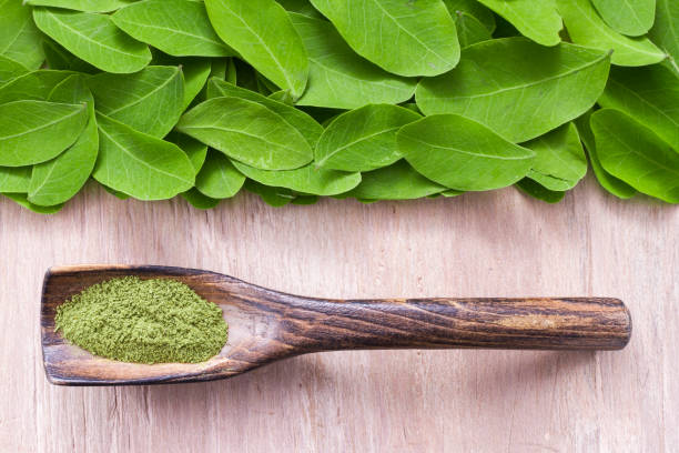 istock leaves and moringa powder 965245870