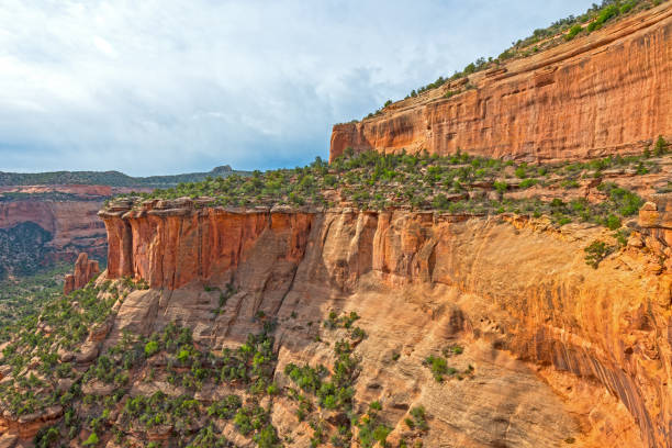 사막에서 극적인 릿지 - red rocks rock canyon escarpment 뉴스 사진 이미지