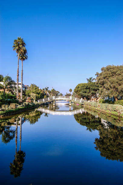 istock Summer in the Venice Canals 965262304