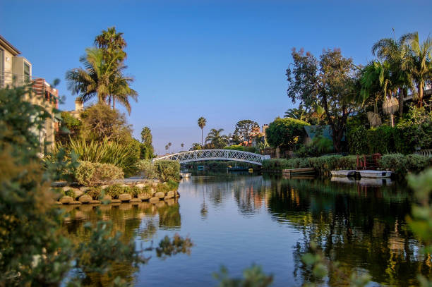 istock Summer in the Venice Canals 965262320