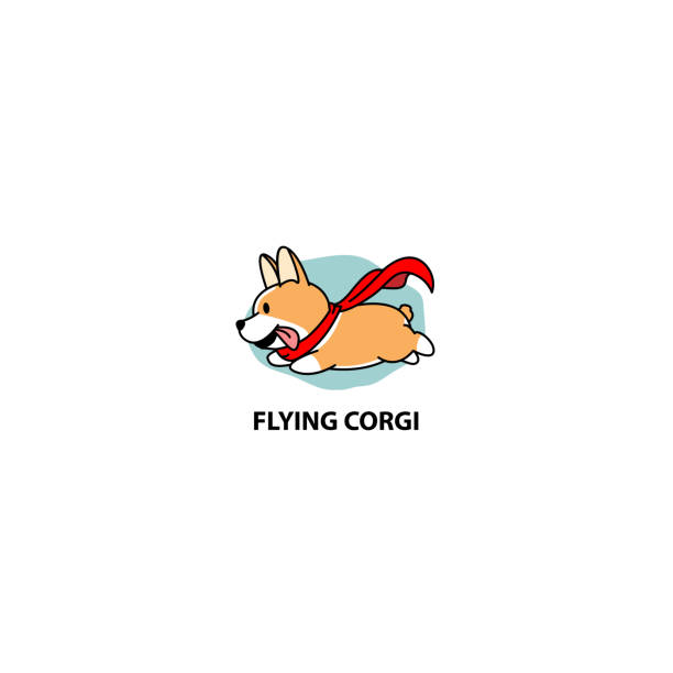 ilustrações de stock, clip art, desenhos animados e ícones de flying corgi, funny dog with red cape icon, vector illustration - heroes dog pets animal