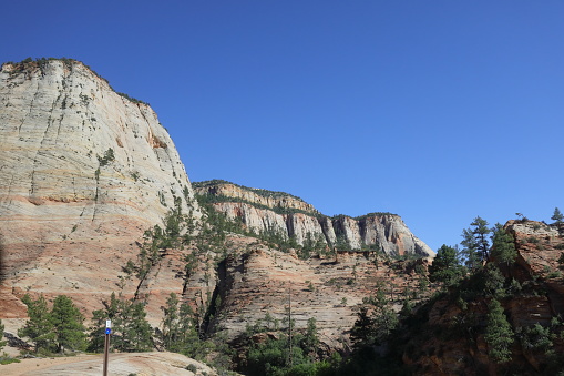 landscape of Zion National Park