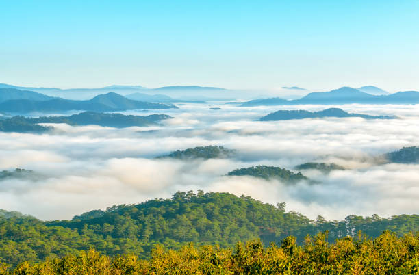 istock Landscape morning fog covered the valley 965281702