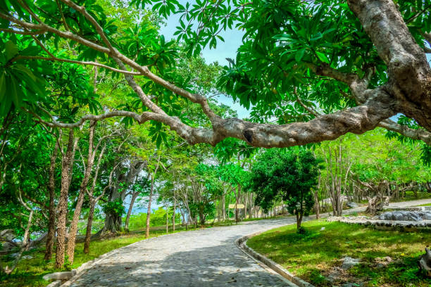 istock Green in the park,Relax in the park 965319582