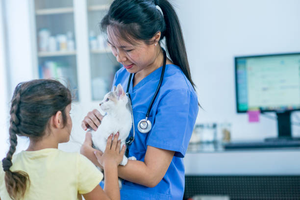 Holding A Cute Cat A girl and female veterinarian are indoors at the vet's office. The vet is holding the girl's cat before the checkup. animal hospital photos stock pictures, royalty-free photos & images