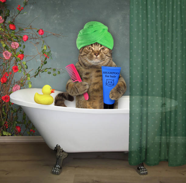 istock Cat in a turban takes a bath 965331582