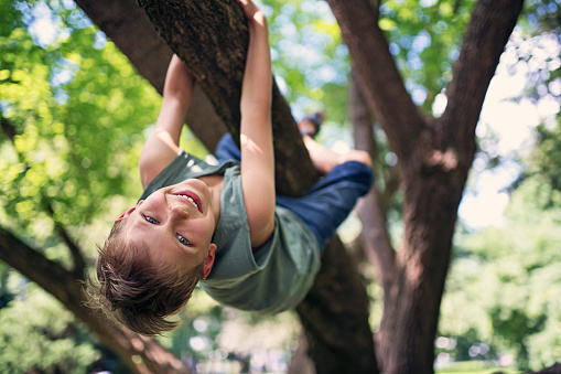 Little boy aged 8 in forest or park climbing a tree. Little boy is hanging from the branch and laughing at the camera.\nNikon D850.