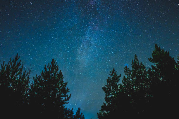 istock Night sky over rural landscape. 965346678